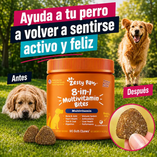 Multivitamínico 8 en 1 para Perros: El apoyo que necesita para volver a jugar como antes ✨